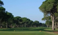 robinson nobilis golf course